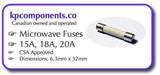 18A Fuse Fast Act Microwave Oven Fuse